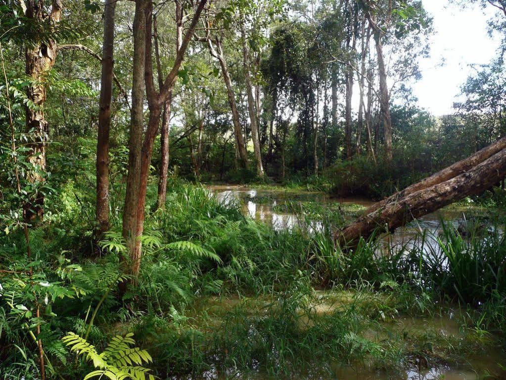 Glass House Mountains Ecolodge Екстериор снимка