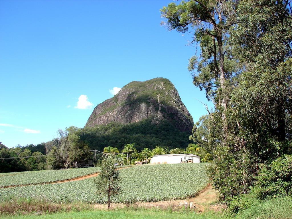 Glass House Mountains Ecolodge Екстериор снимка